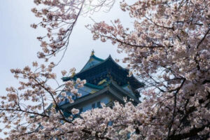 osakacastle-flowers